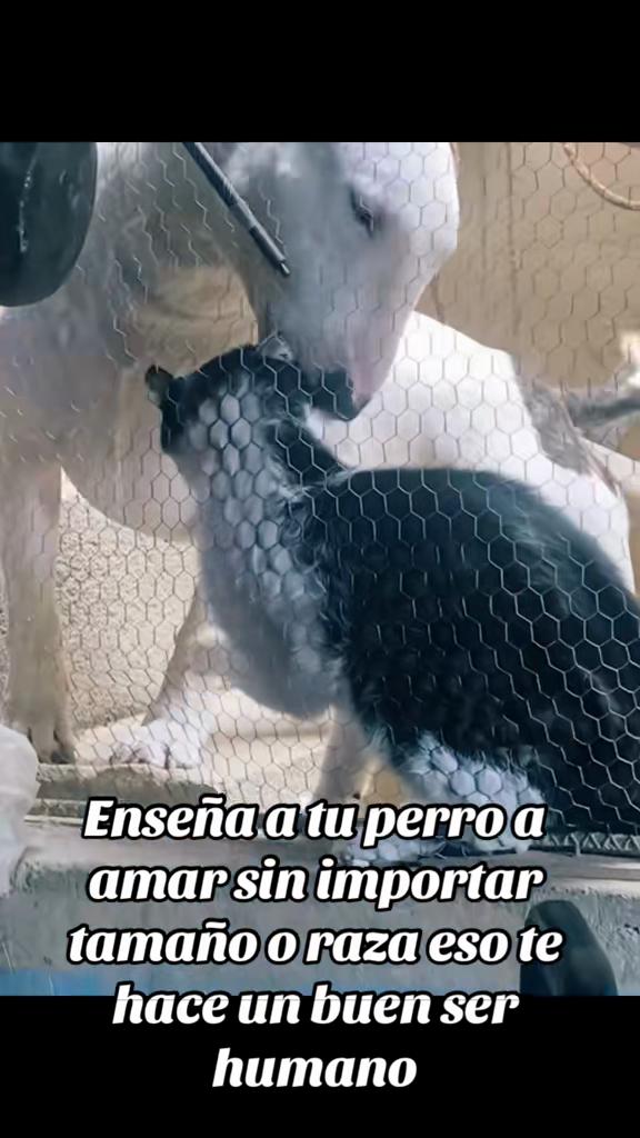 @Lore quiro