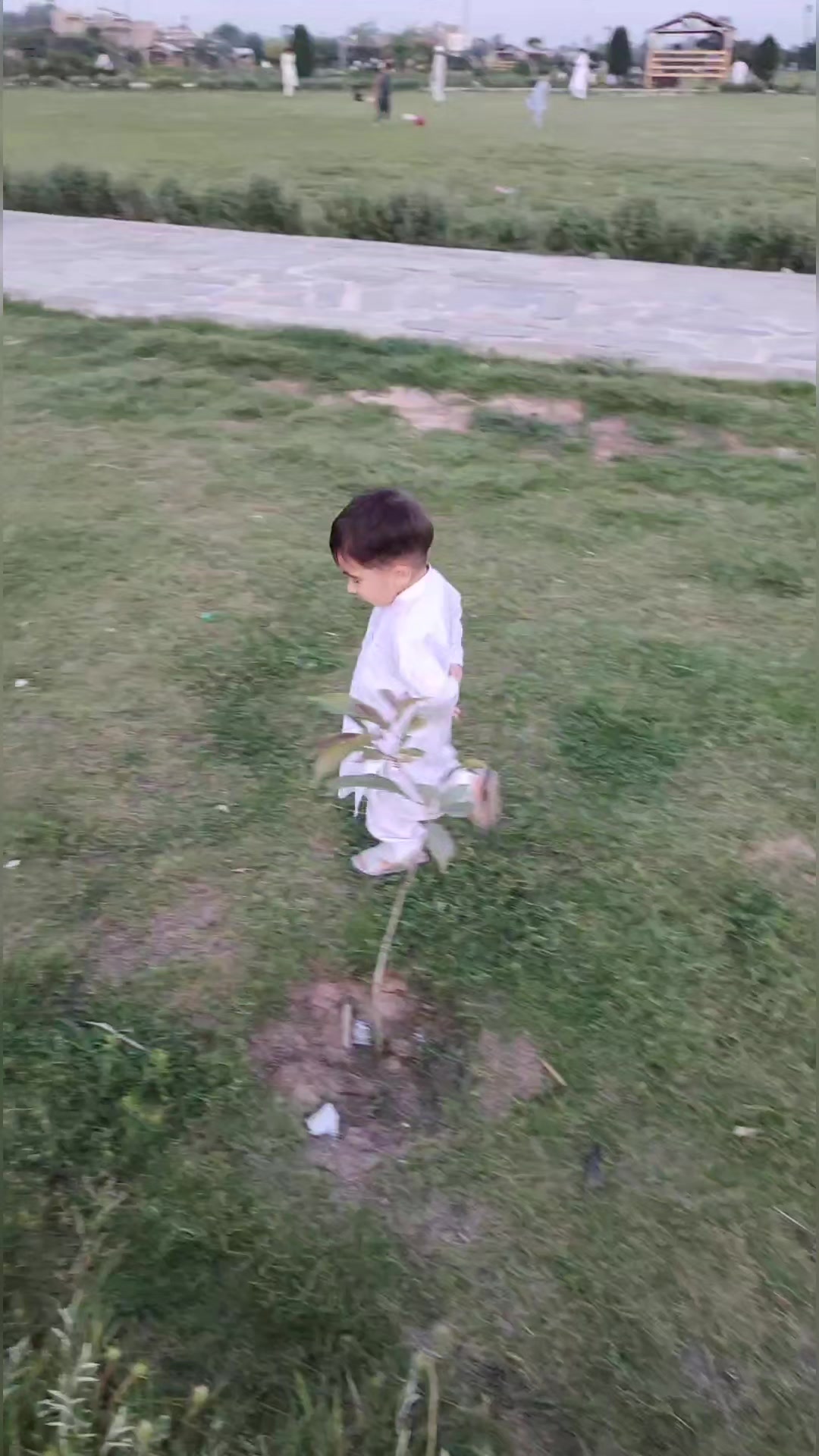 @Dr Asif Awan