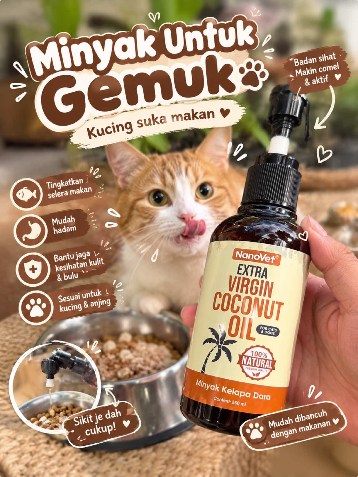 @KUCING SAYA MAJIKAN SAYA|BIHA