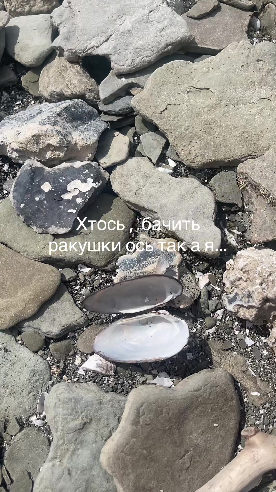 @Юлія Гицина екскурсовод