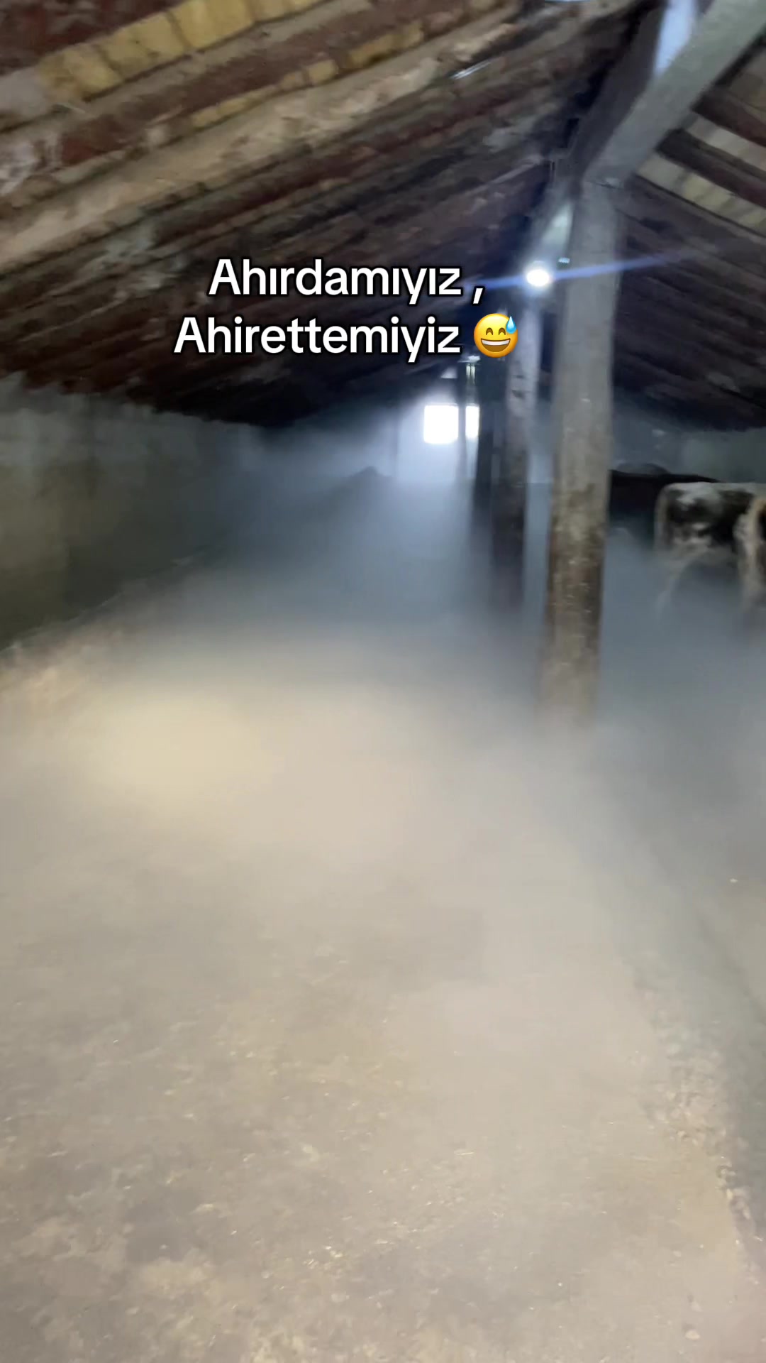 @savaş
