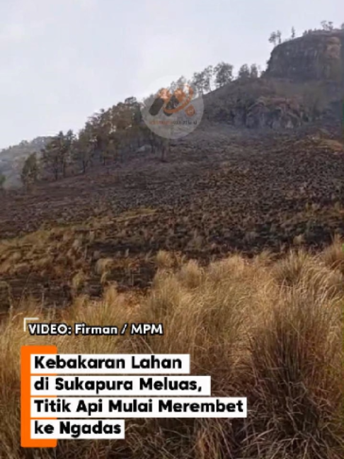 @Malang Posco Media