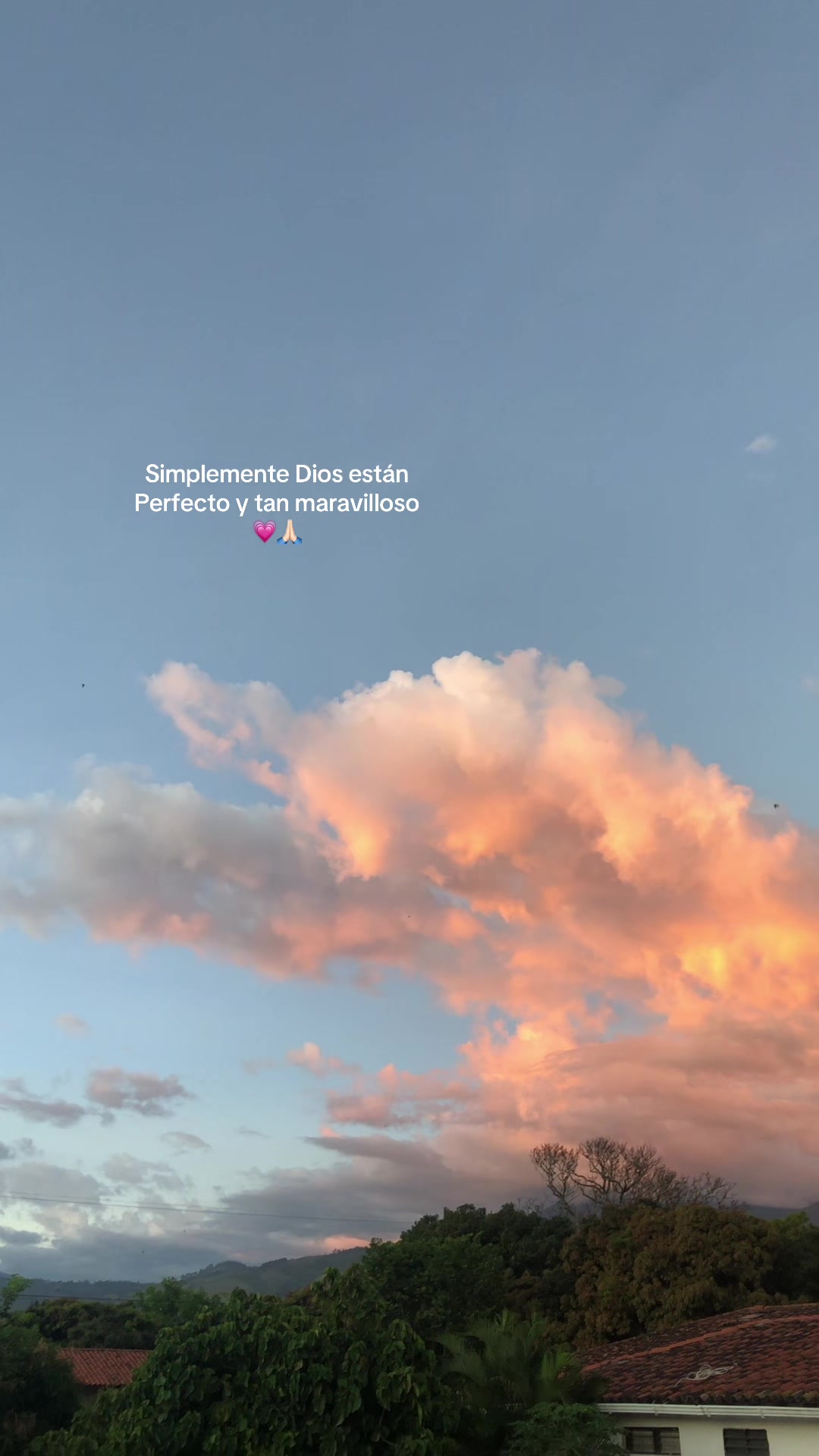 @Sarah 💗🌷