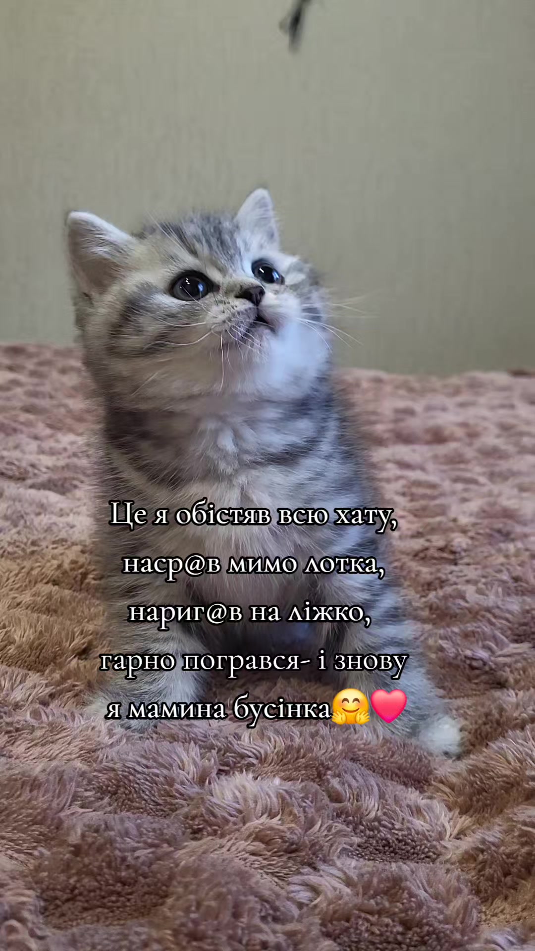 @Zorka