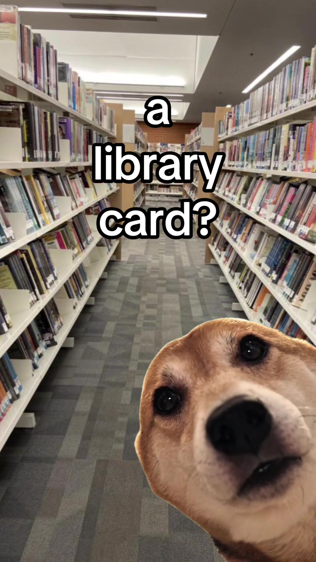 @Abby 📚 Librarian