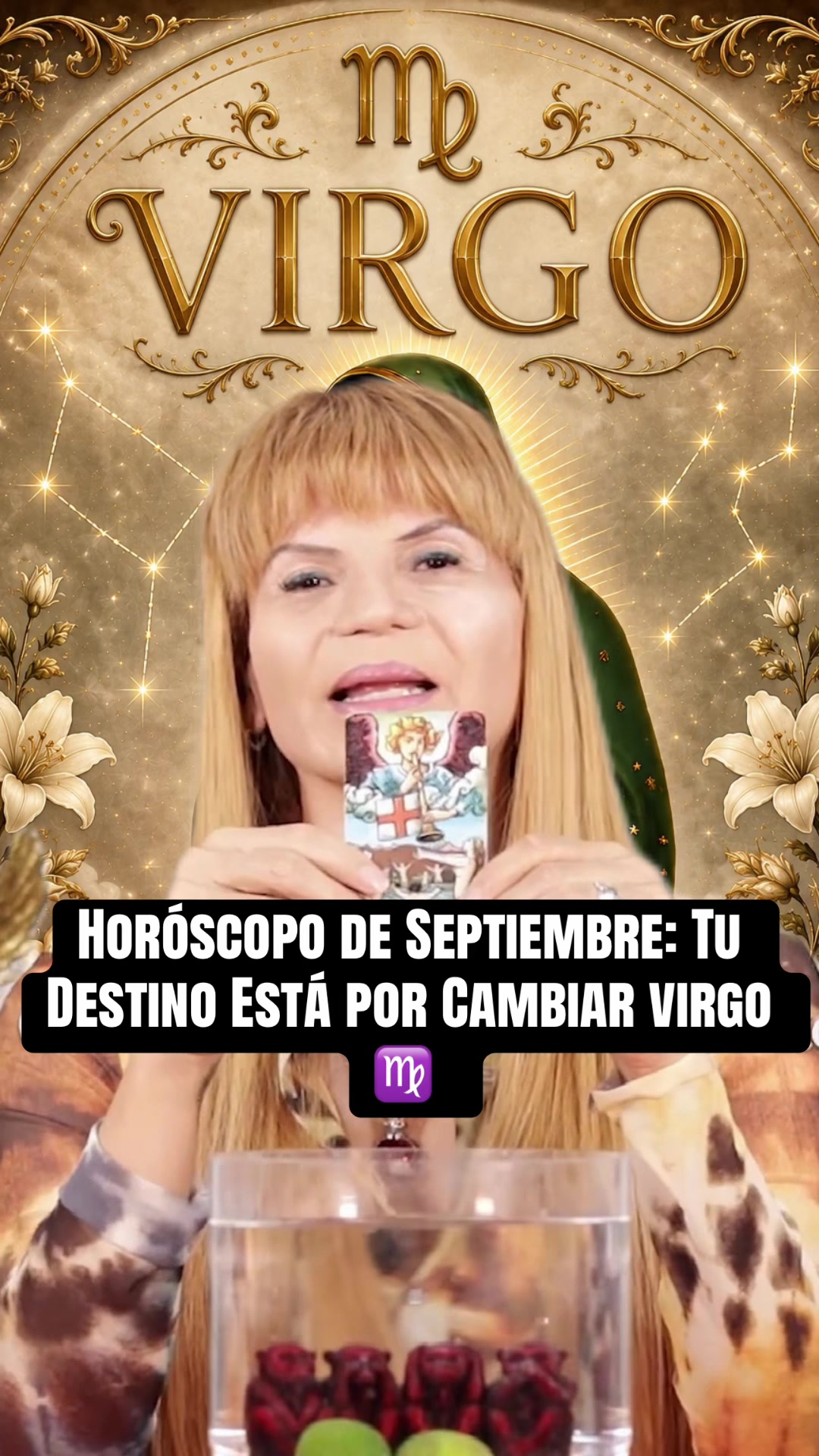 @✨ORÁCULO 13 ✨