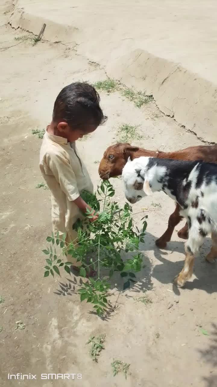 @sohailpanwar