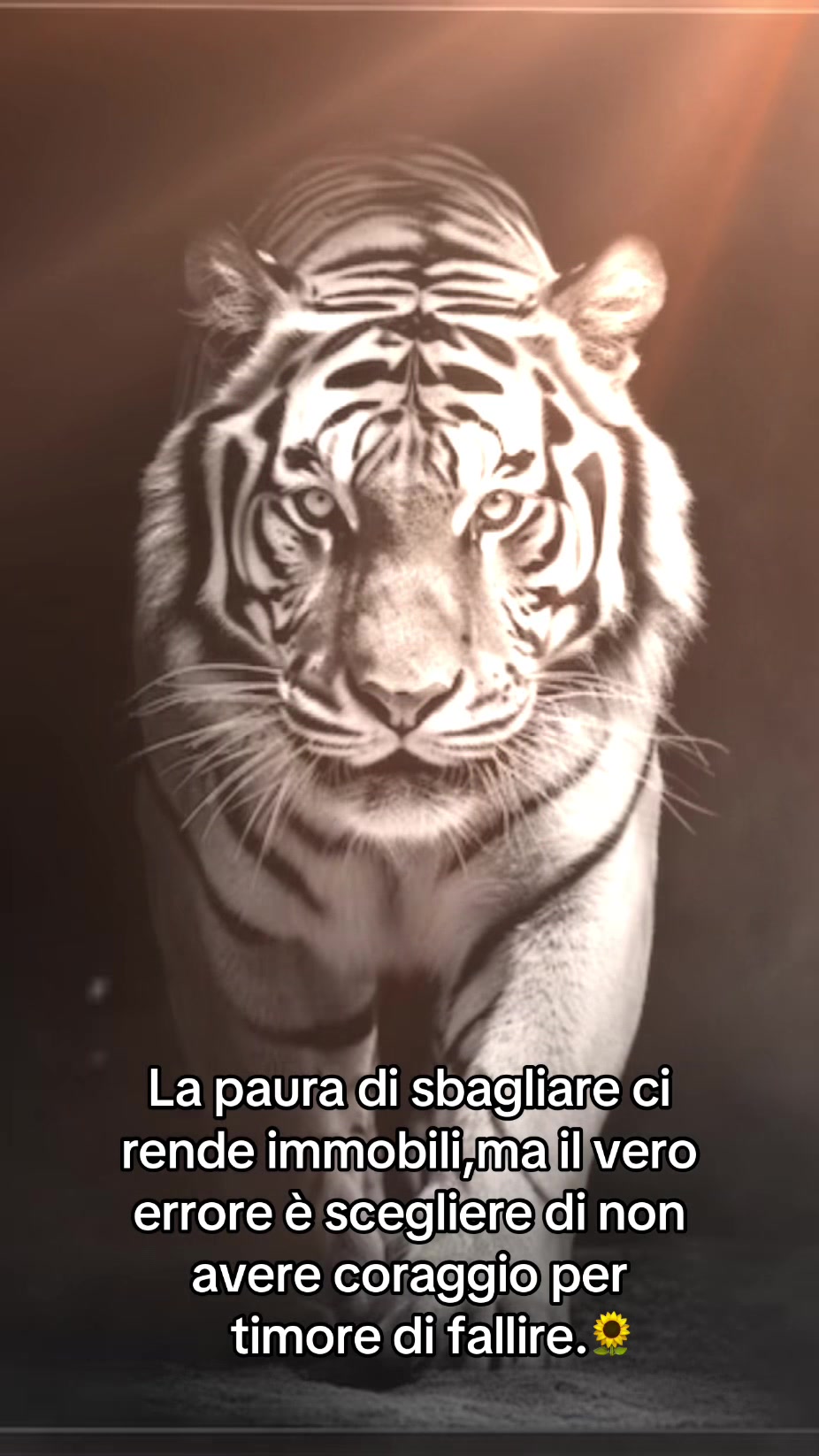 @Alfred.007