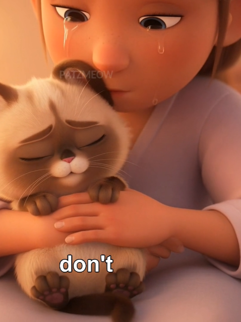 @patzmeow