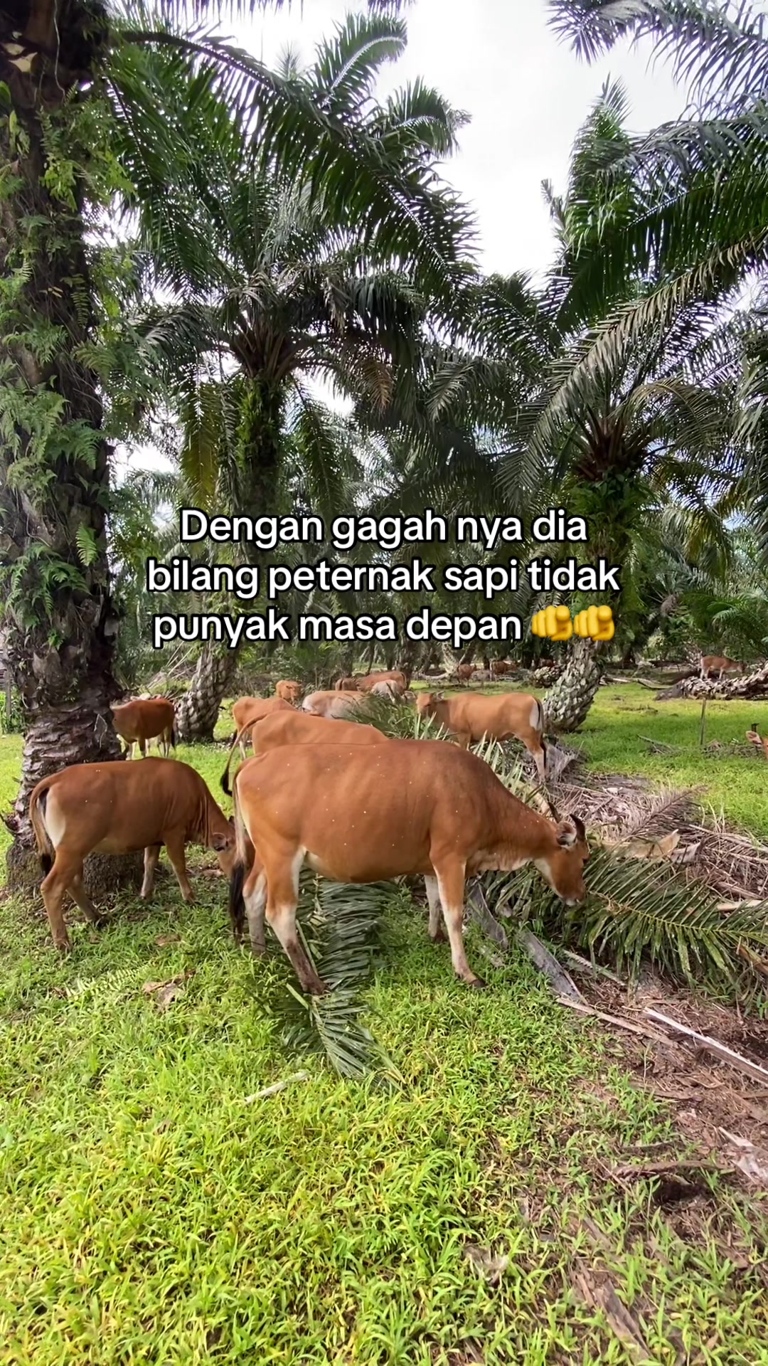 @KPH SIAK KECIL