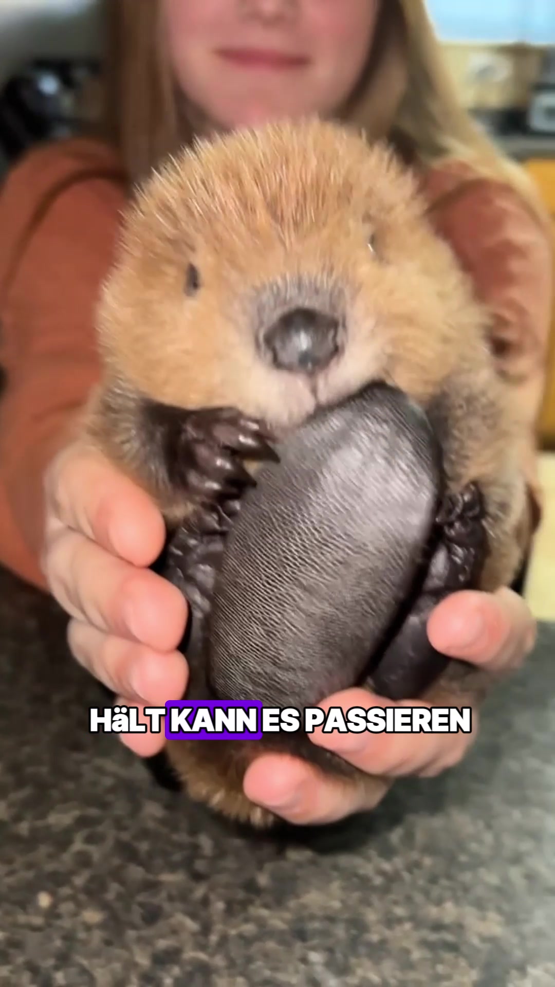 @Tierheim