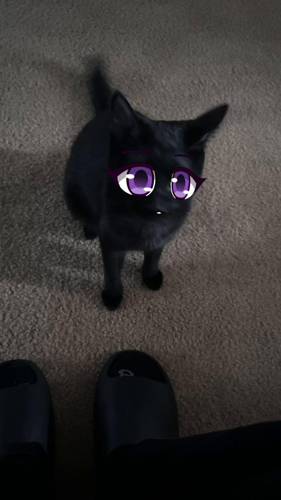 @𑣲𝓳