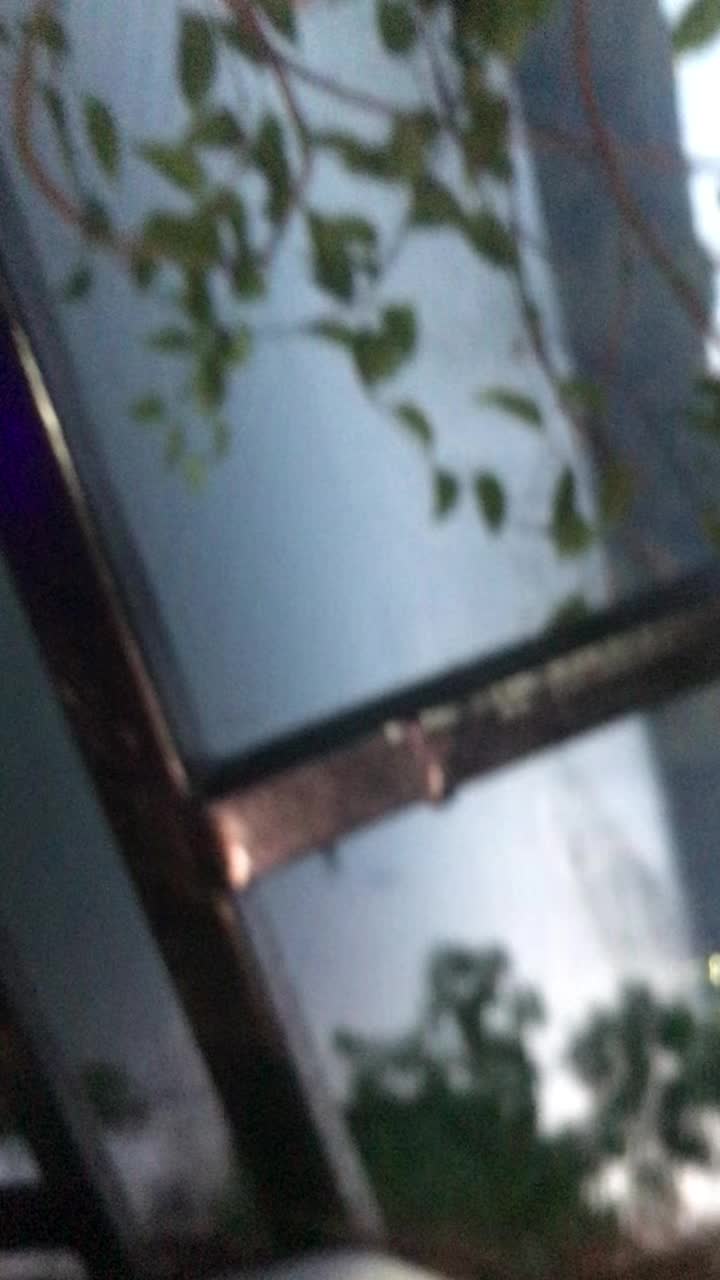 @Dipali💖