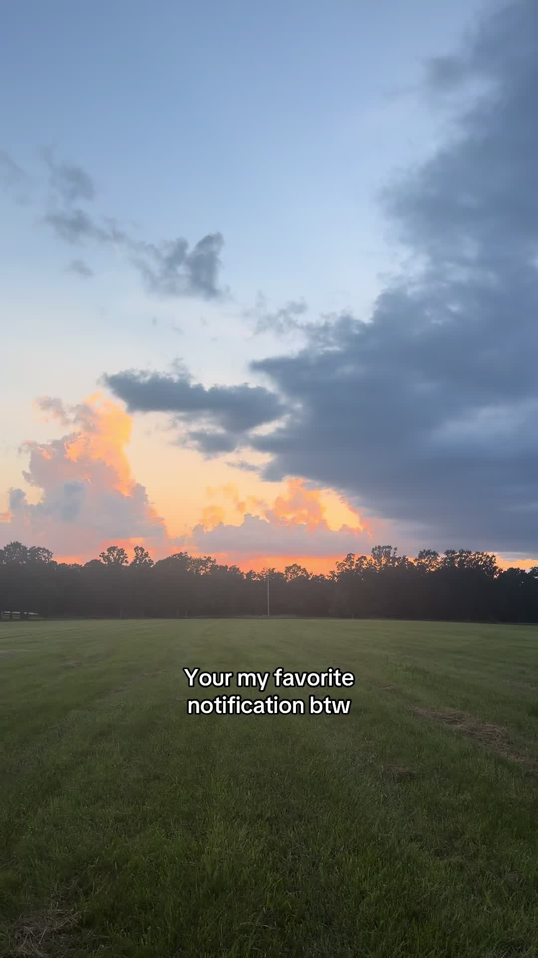 @Chloe Elam