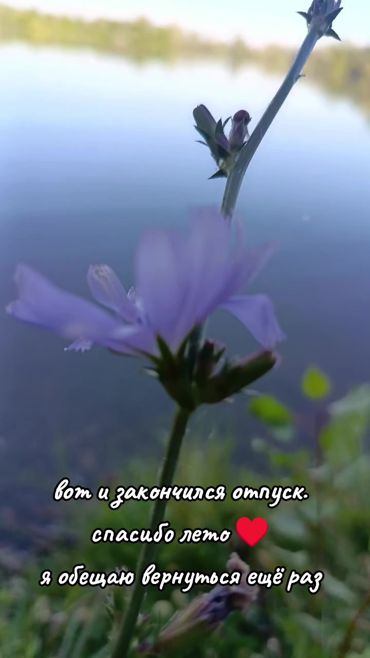 @Ирина 89