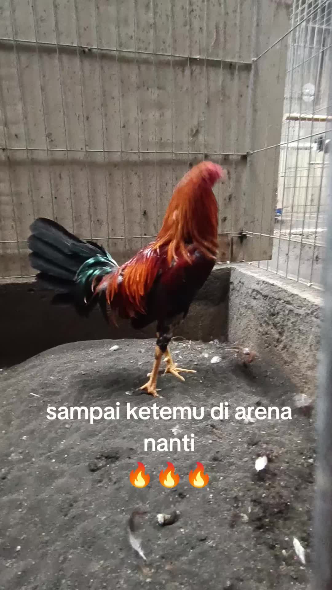 @Charles LGF