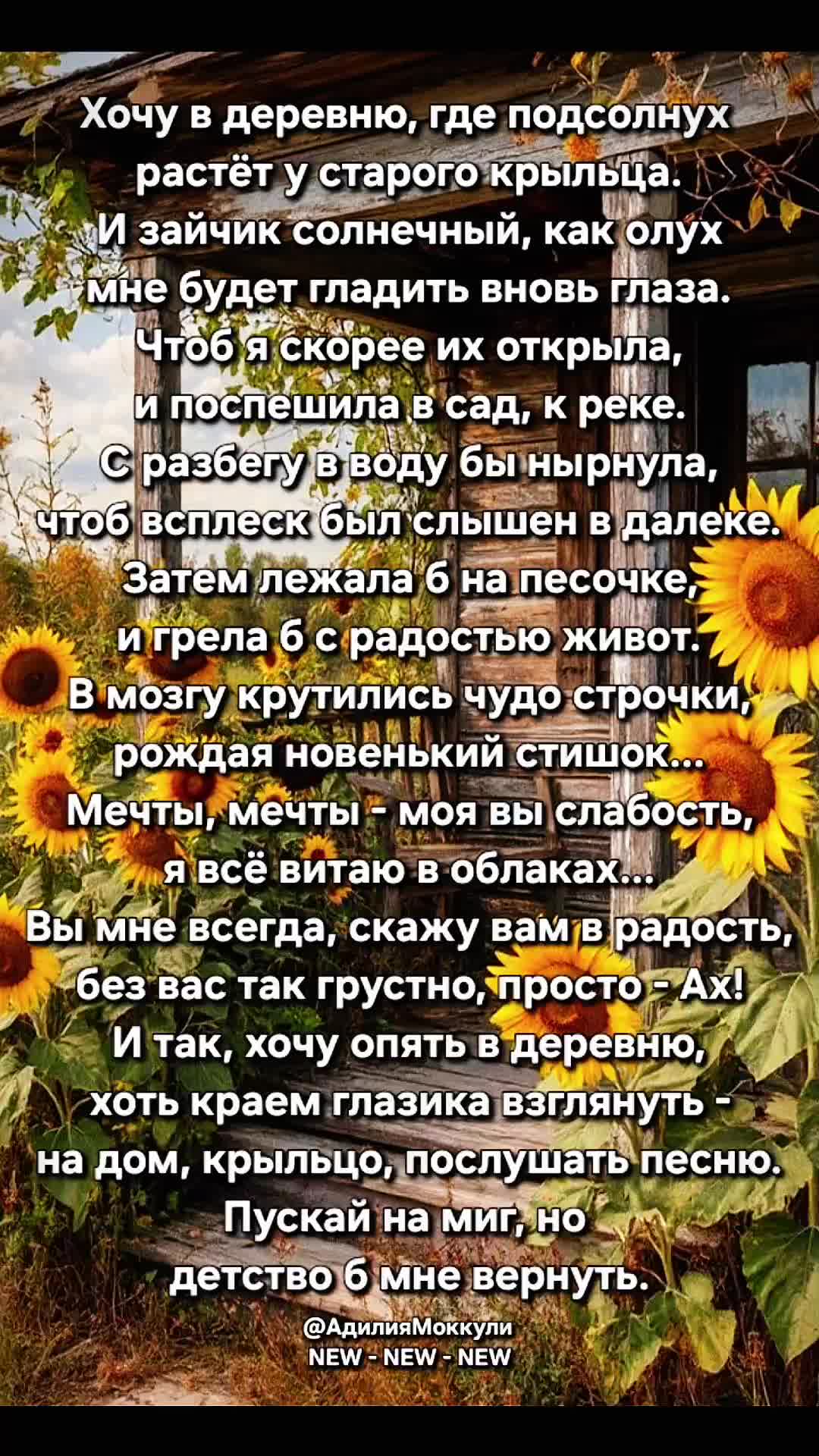 @Адилия Моккули