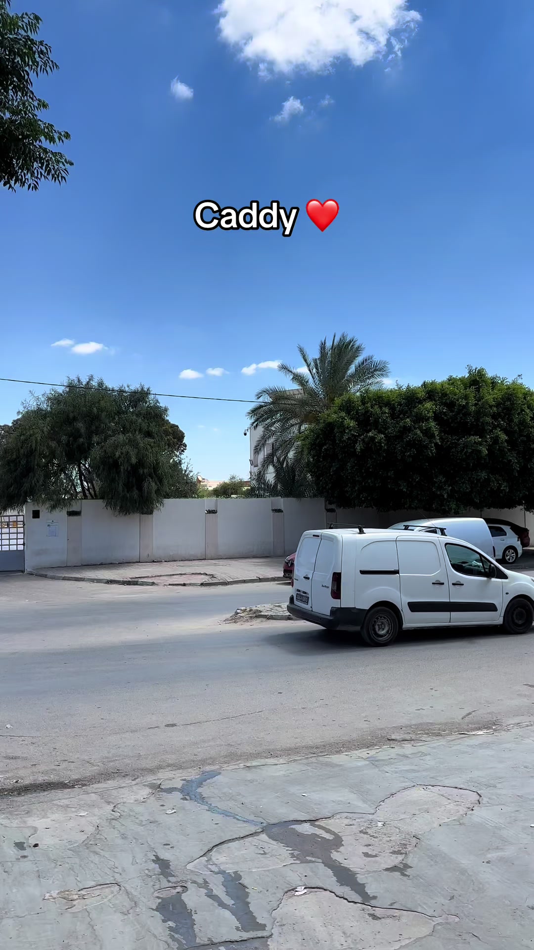 @Abdallah_sakka 🦅🇹🇳