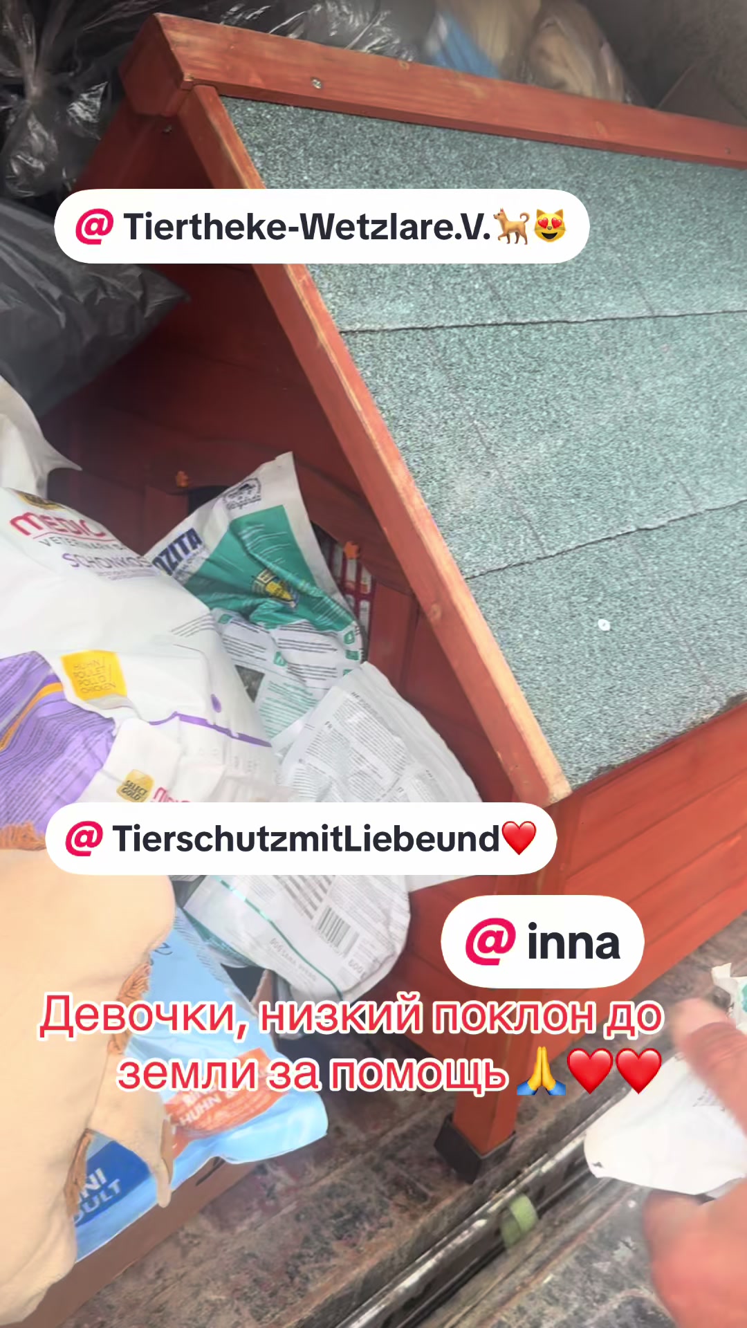 @Лёвка и компания.