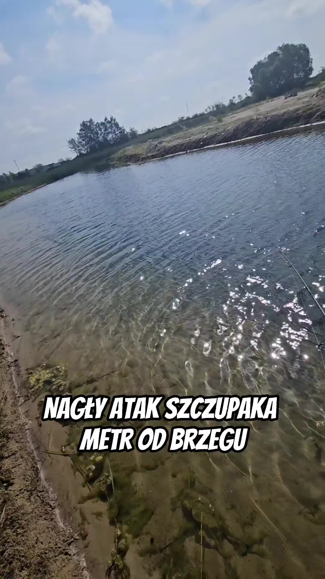 @mfly_lures