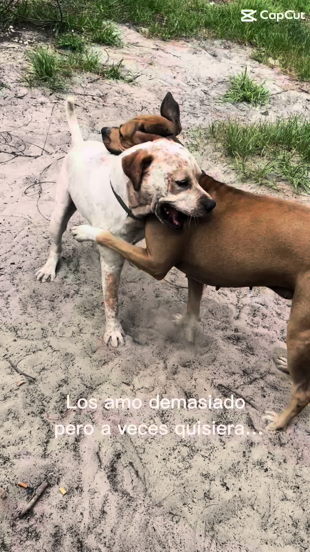 @anabelllopezrodri