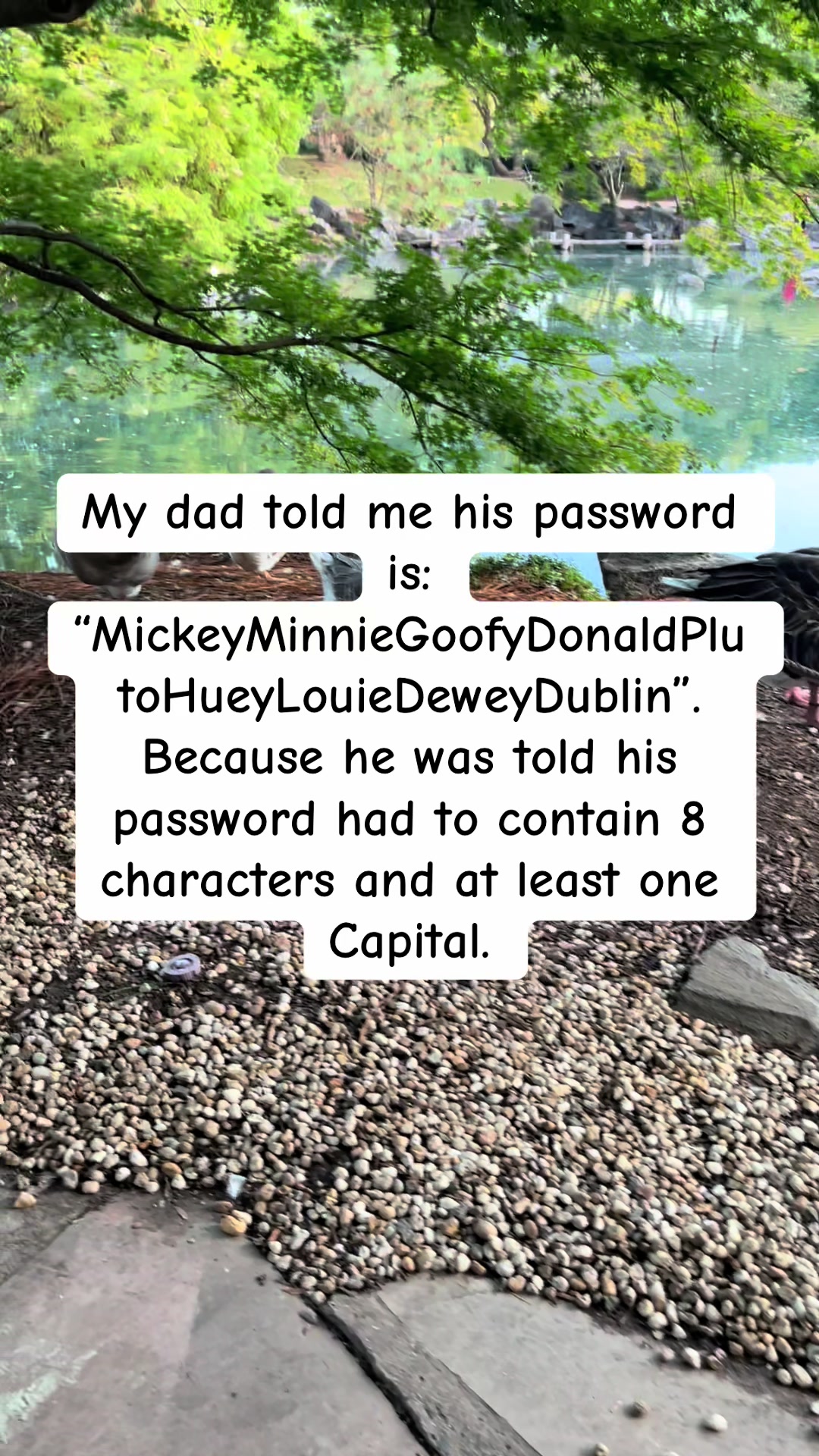@Max world…Australia 🇦🇺🇦🇺🦘