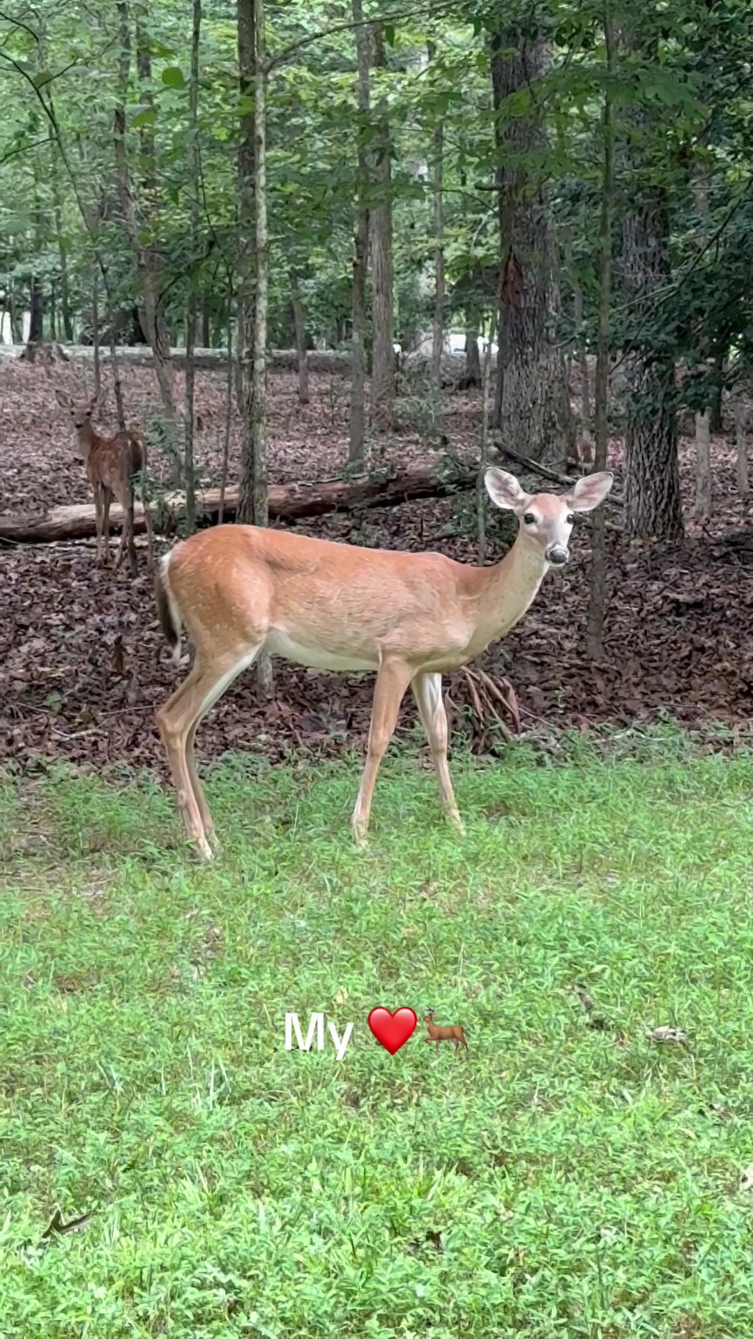 @lifewithduke2025