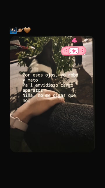 @Susana Torres