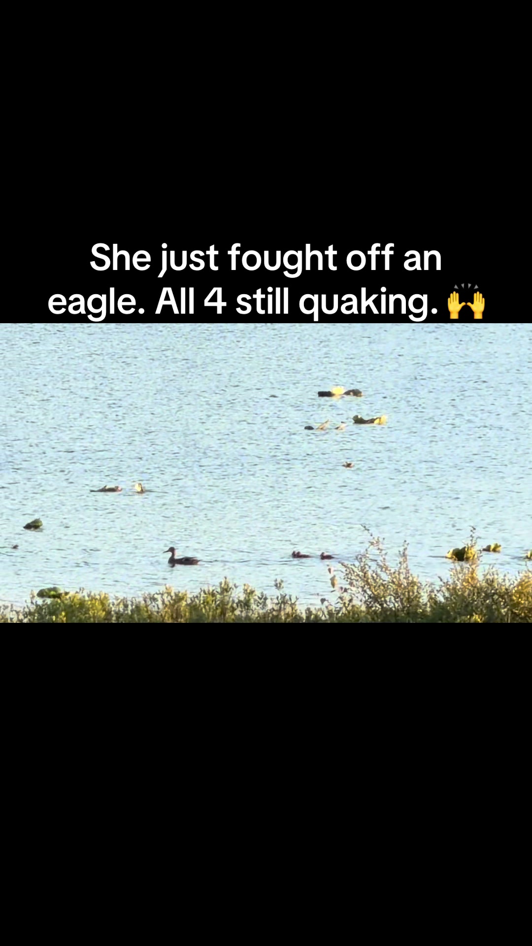 @AngieSmith