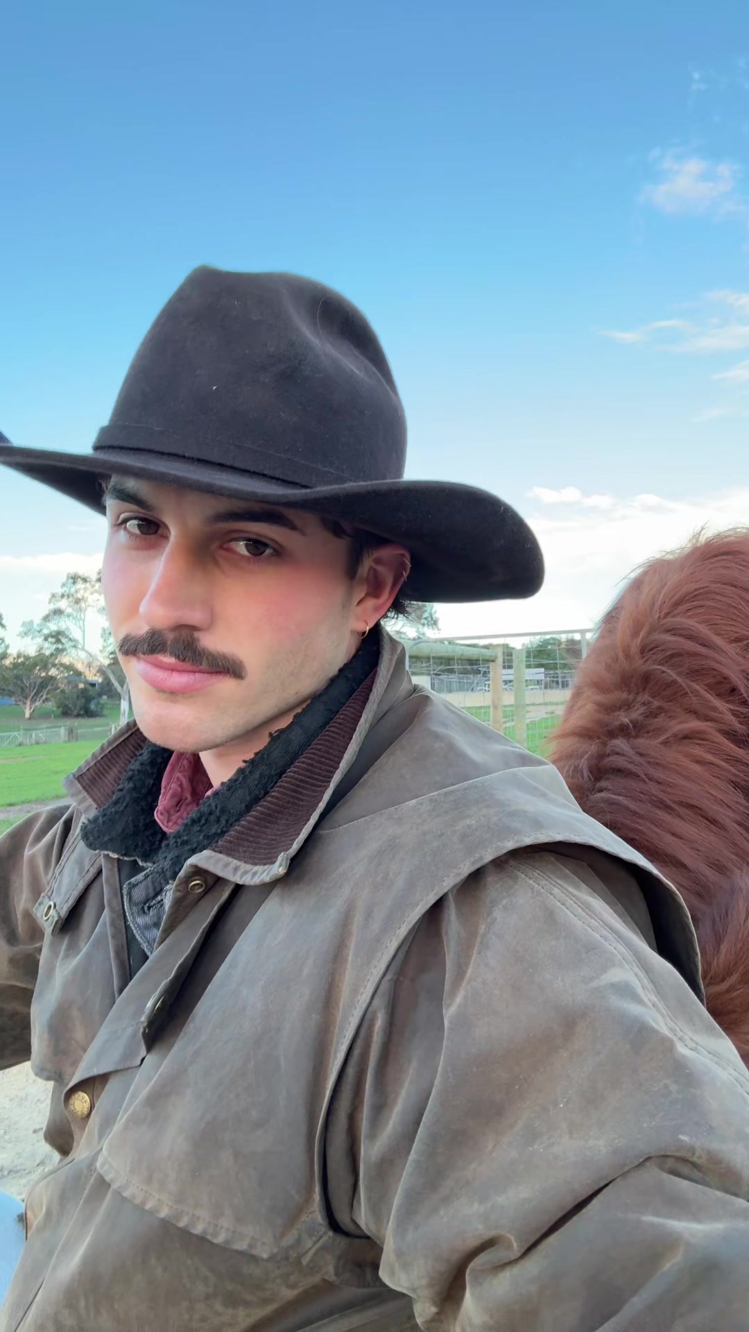 @Liam 🤠