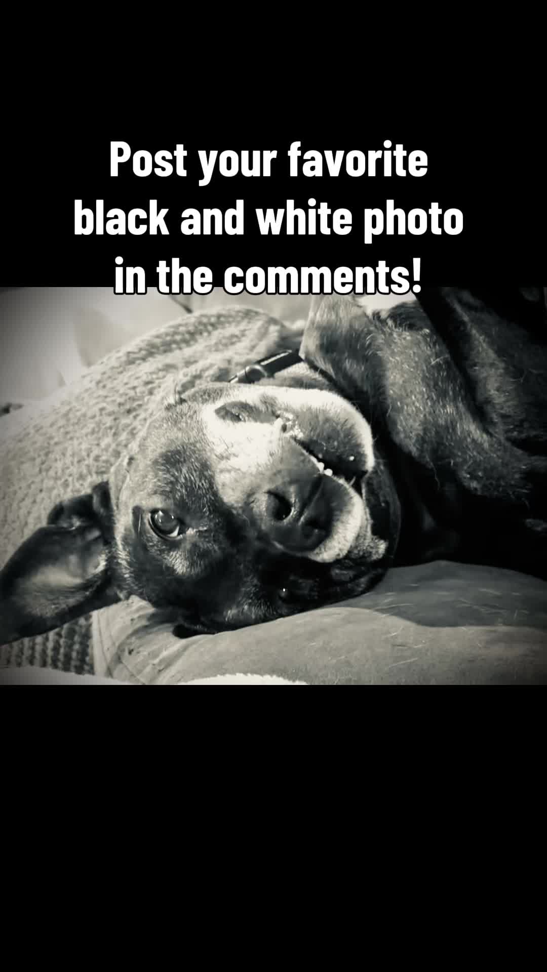 @warriorgirl_Traci 72