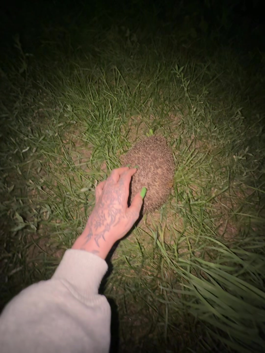 @евангелион ориг