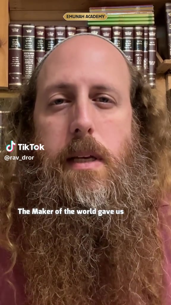 @Rav Dror