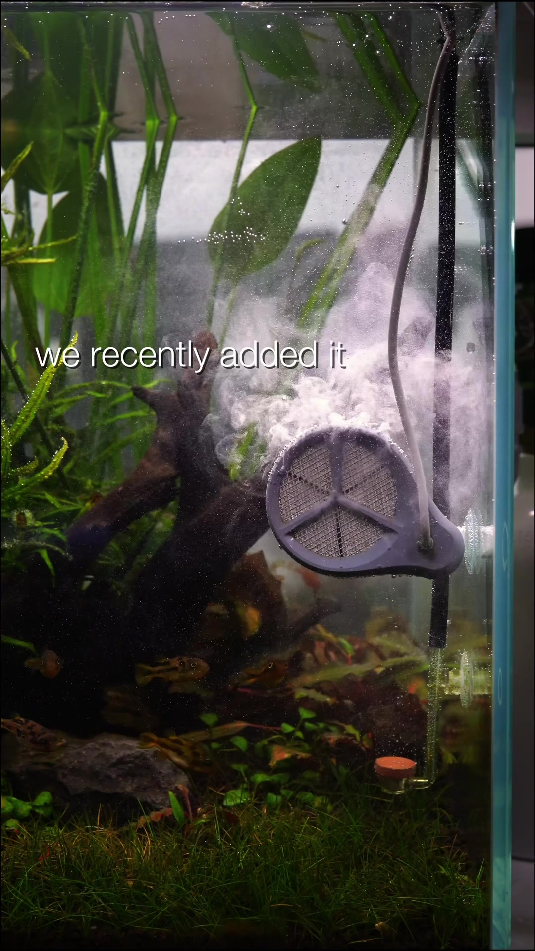 @PuffNStuff