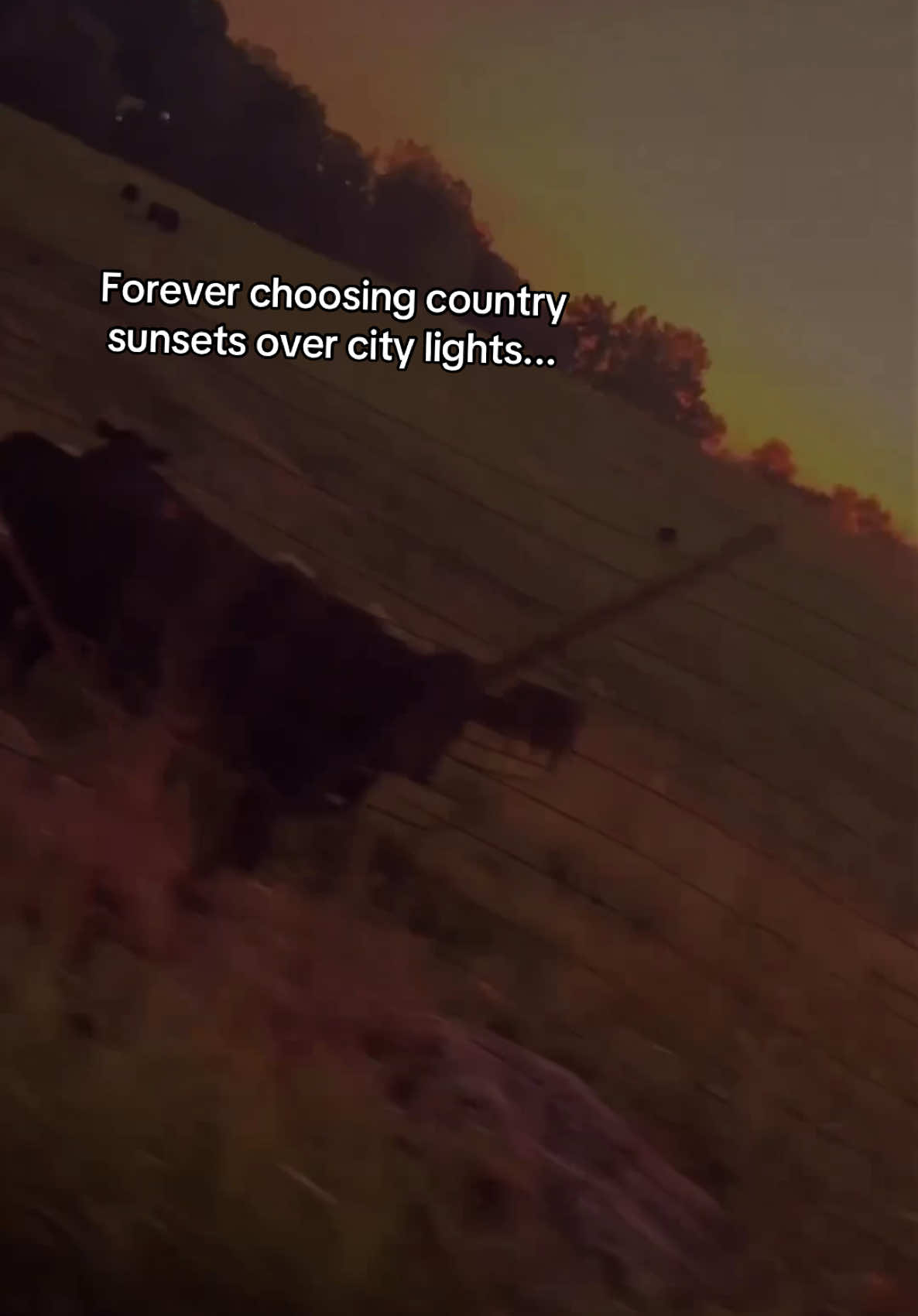 @𝓒𝓱𝓮𝔂