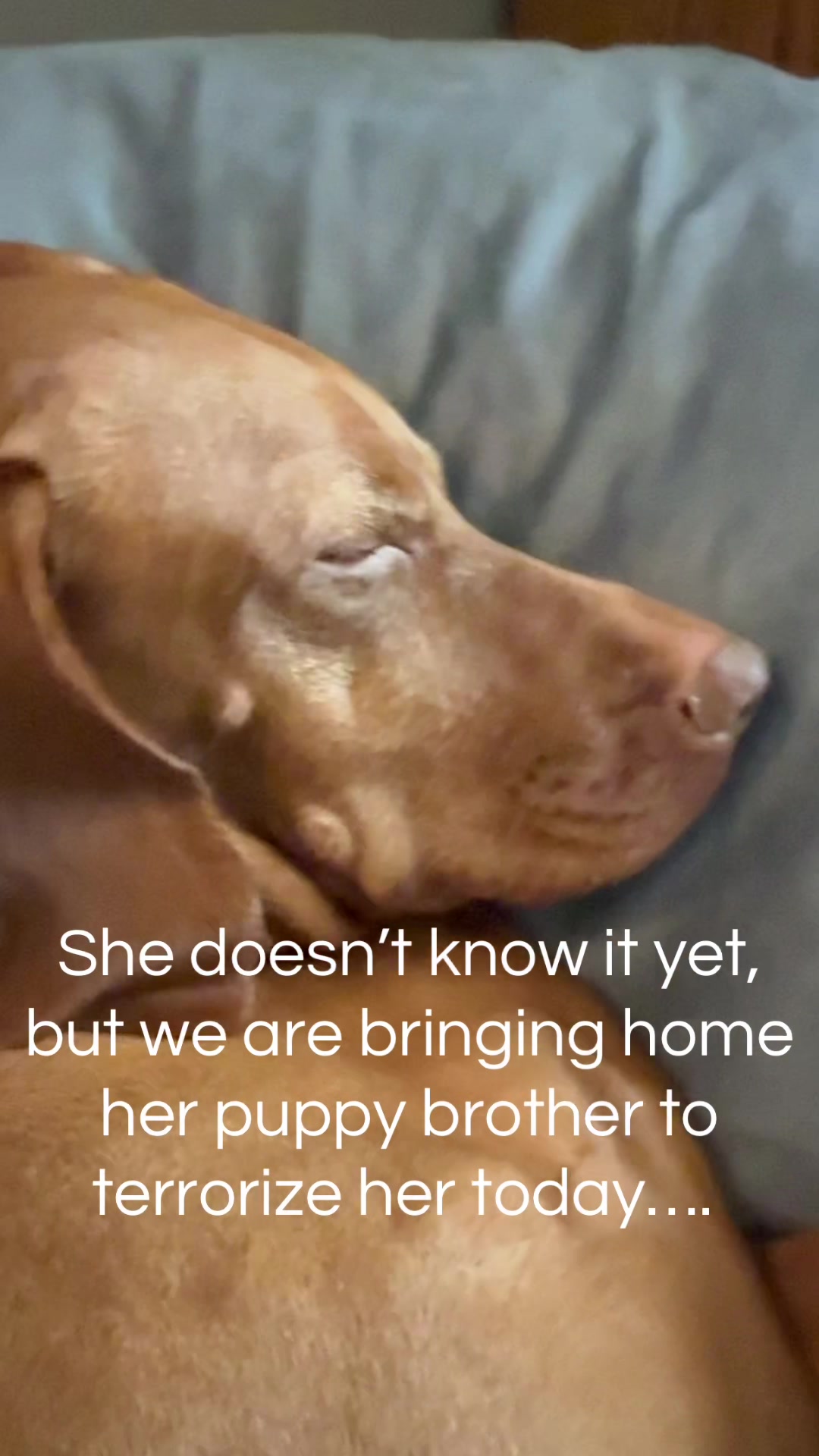 @Copper | Penny