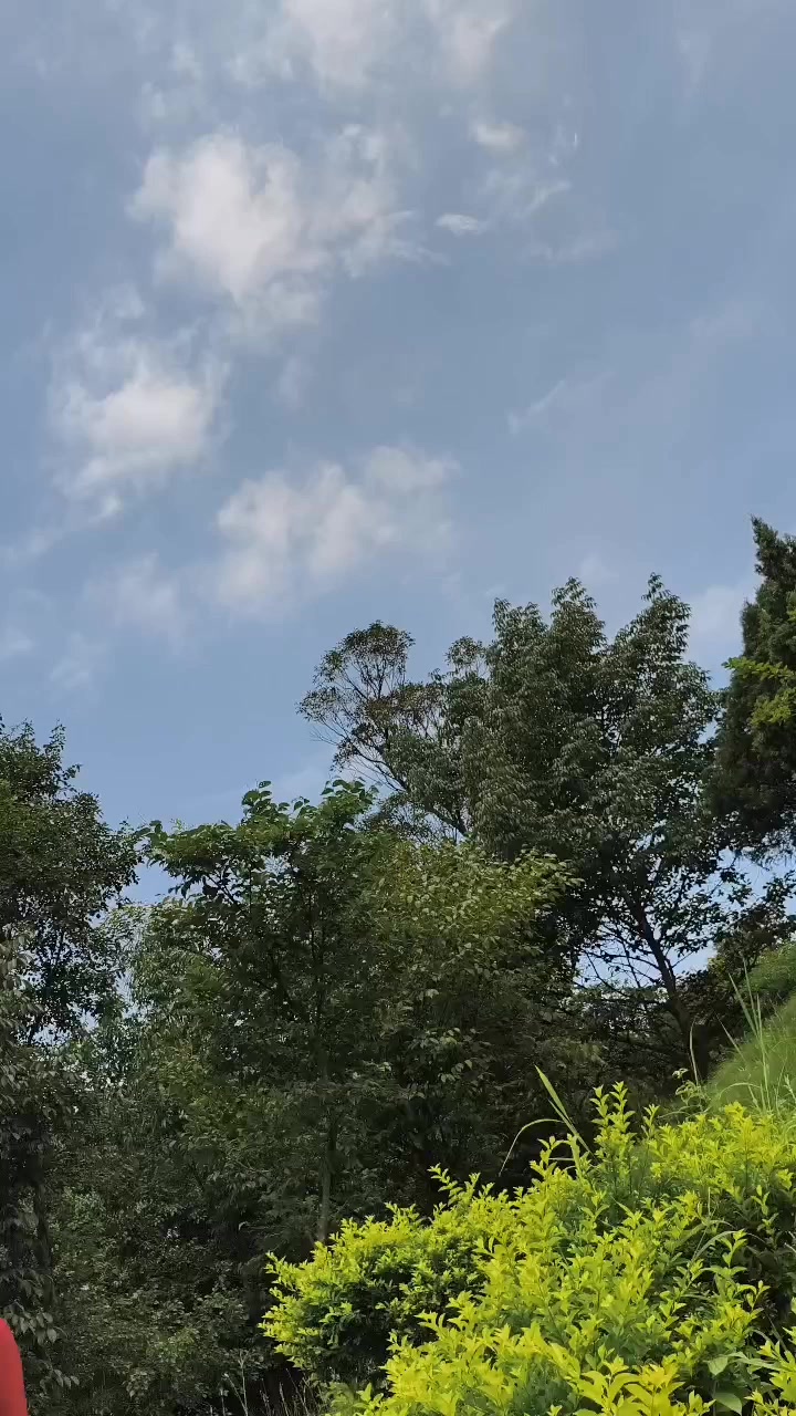 @🧿🕊️