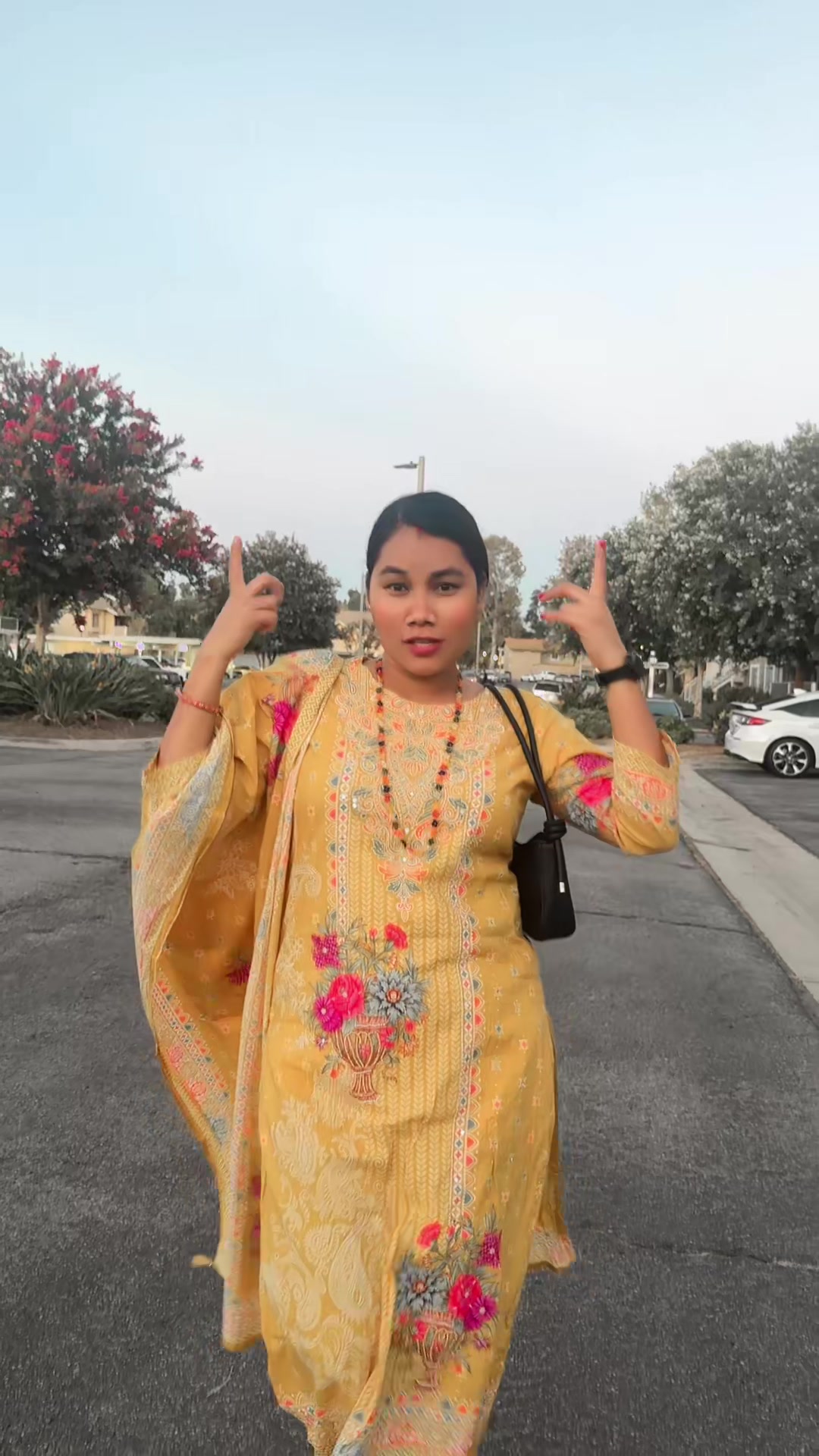 @Resham Chaudhary 🇳🇵🇺🇸 ✌️