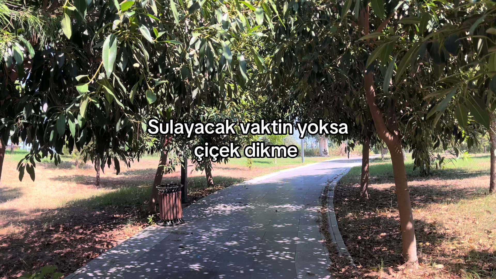 @canlyrcs1