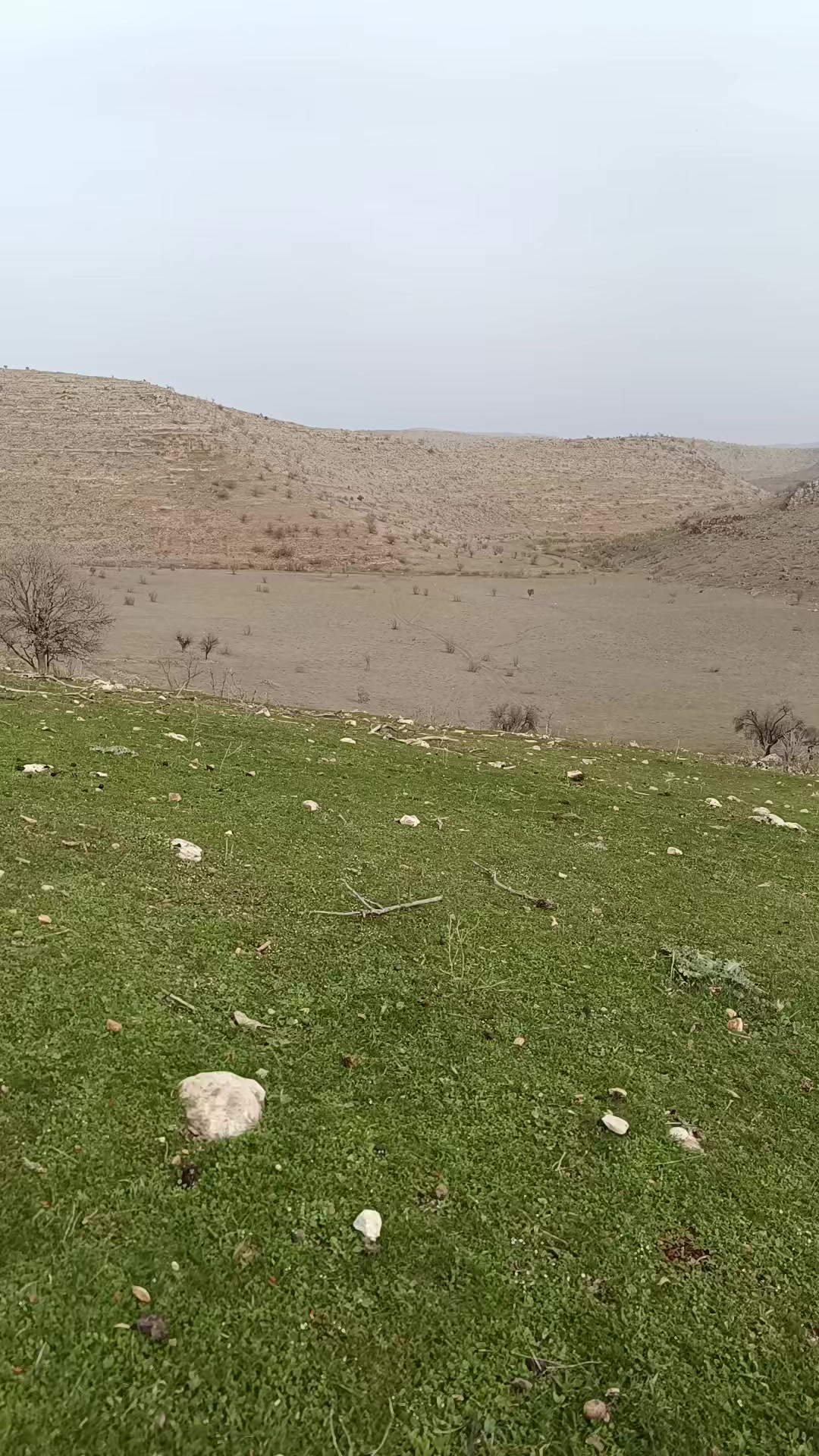 @Abdurrahim gül