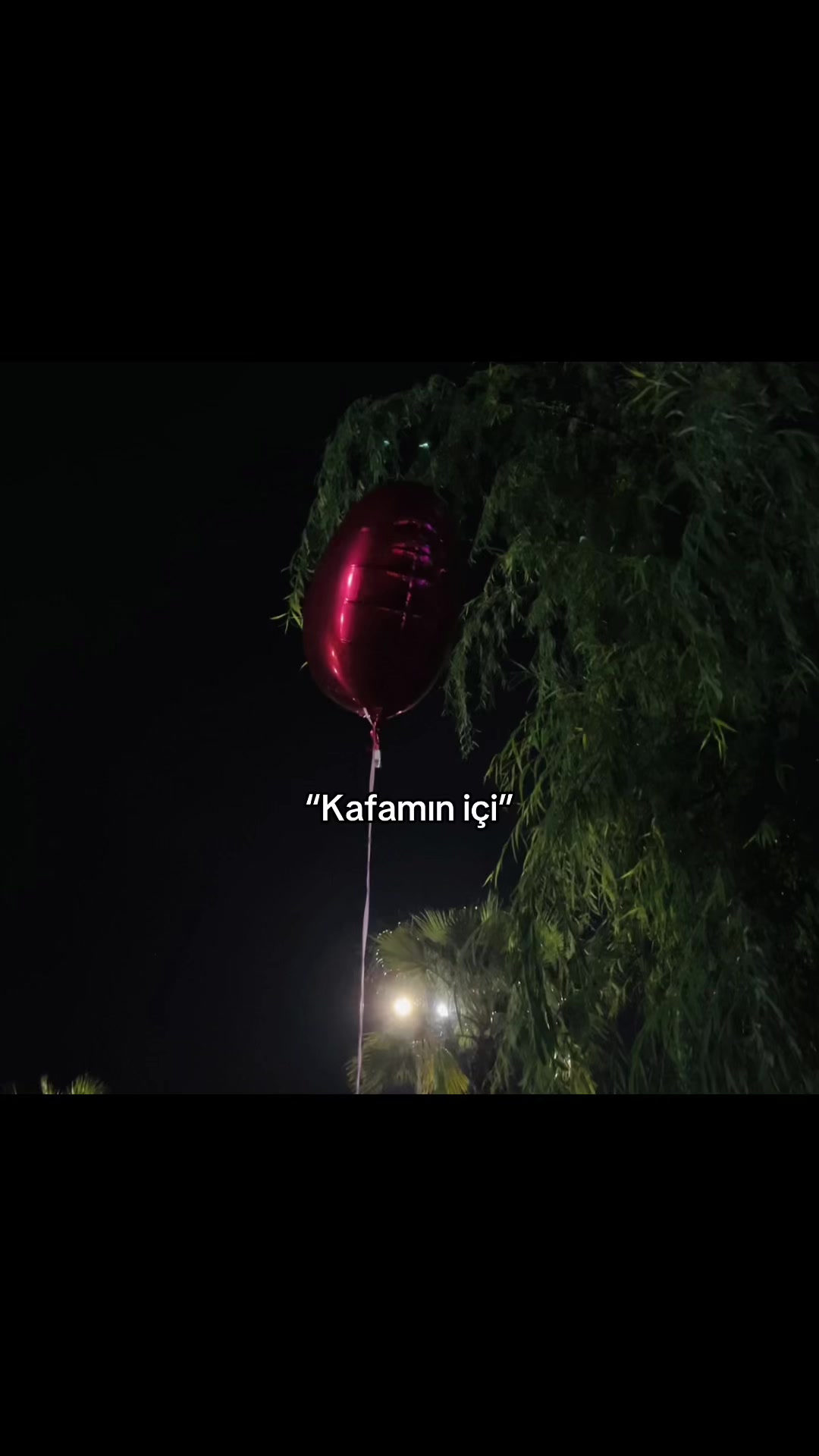@kafamıniçi7