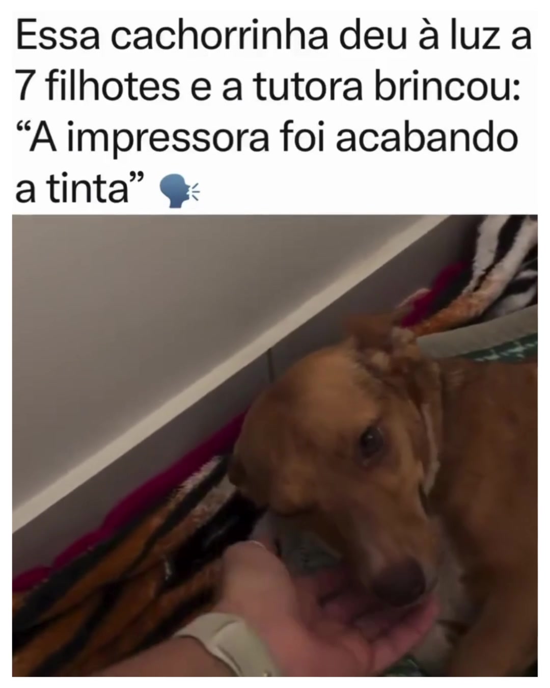 @Alfinetei