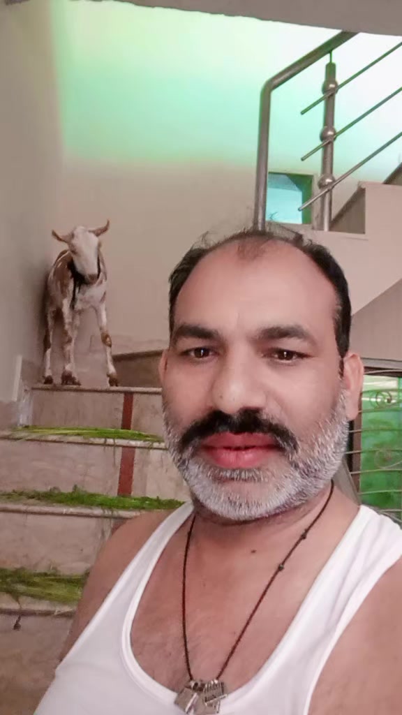 @Bao Aslam
