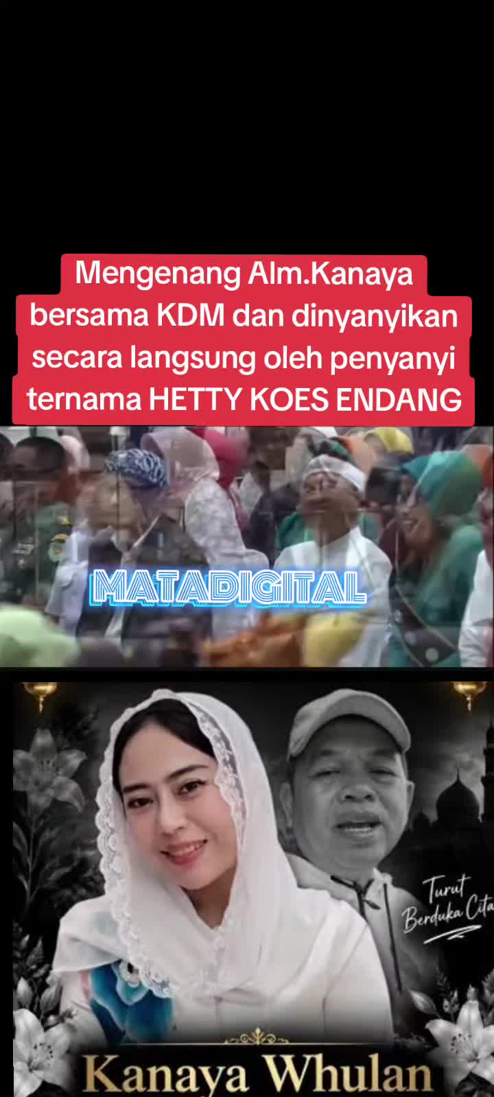 @MataDigital