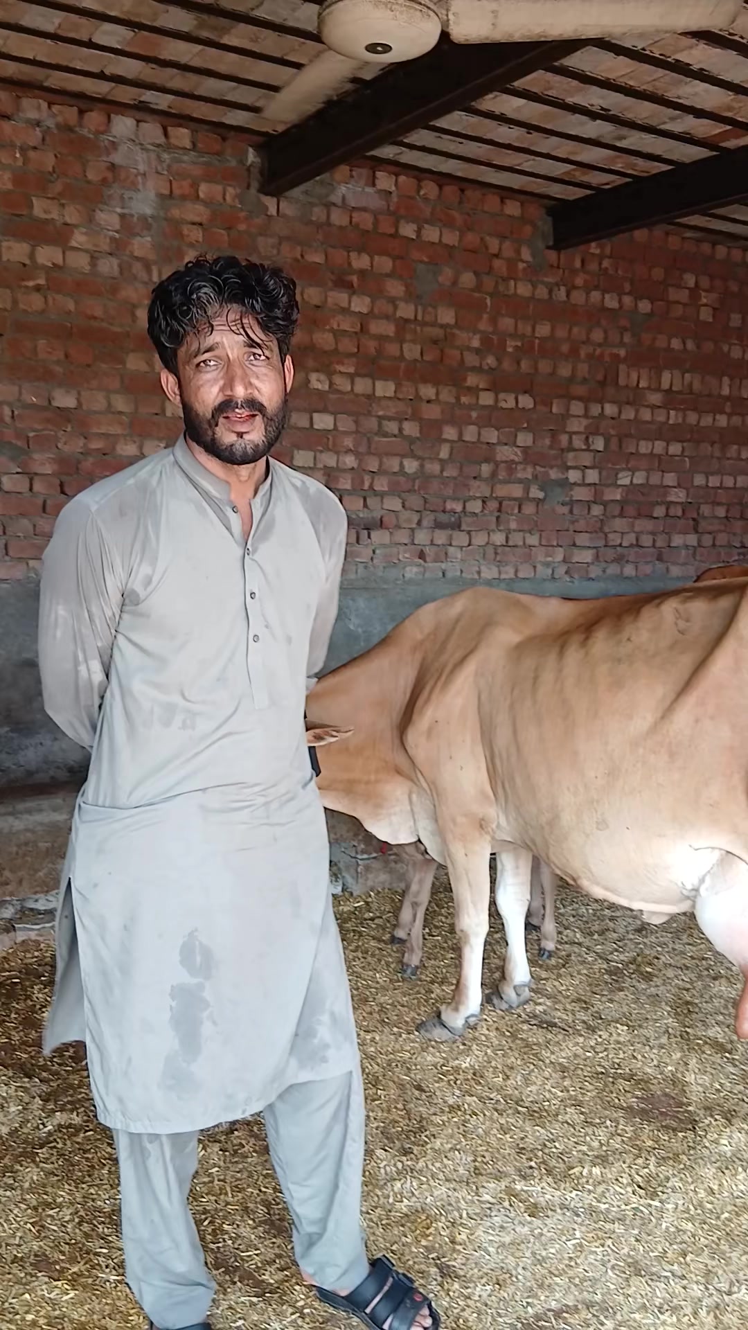 @Farming and Business Ideas