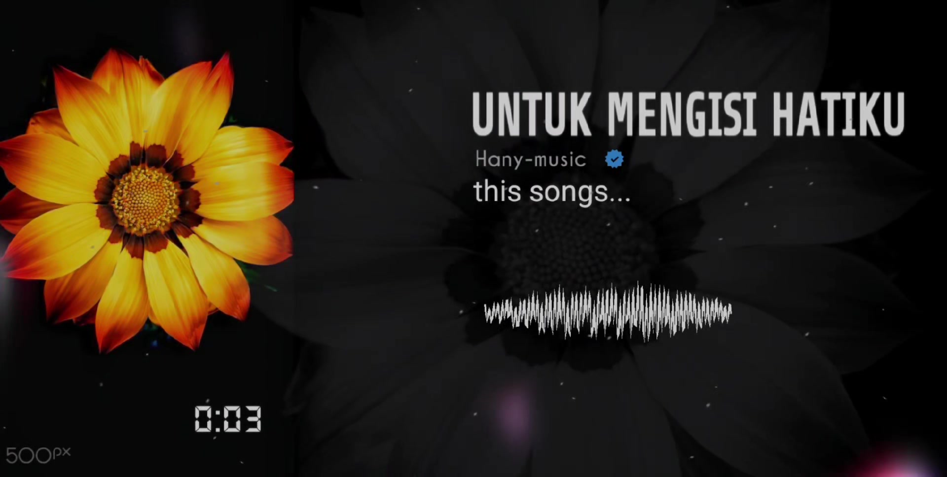 @𝙷𝙰𝙽𝚈 𝙼𝚄𝚂𝙸𝙲 𖦤