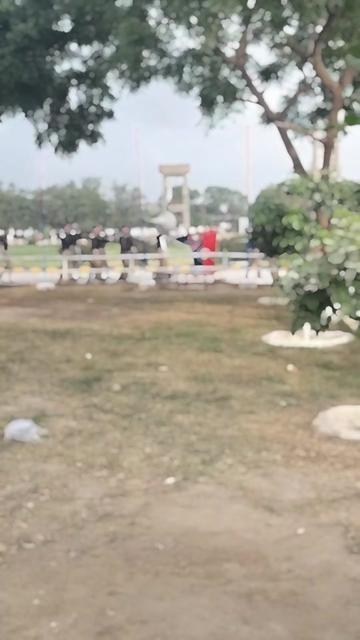 @Yasirqurahi_110