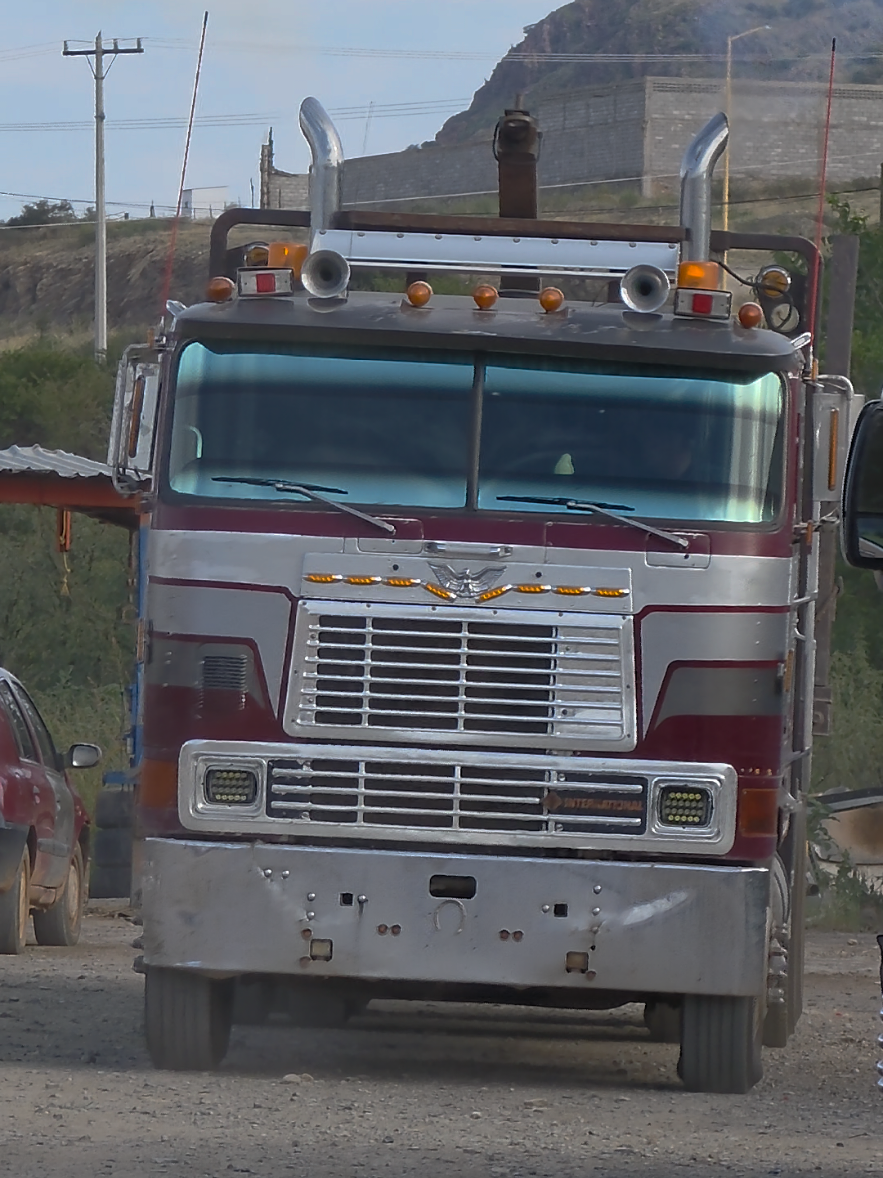 @Chihuahua Trucks