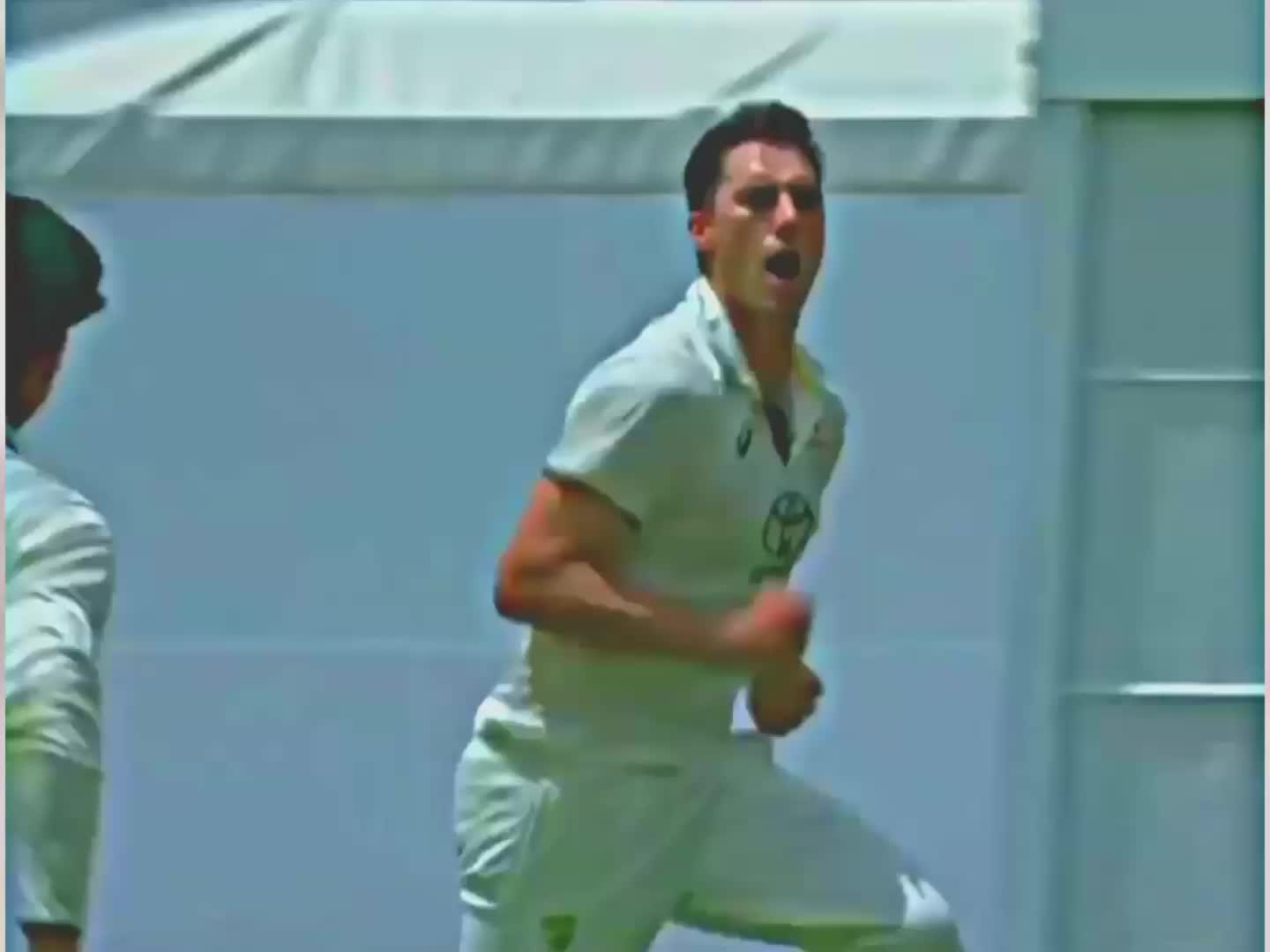 @Cricket lover