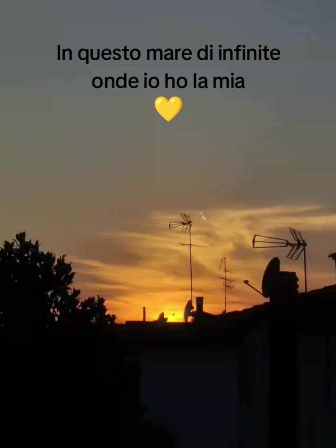 @💛Giulia_spammm💛